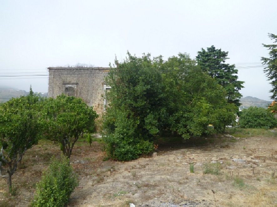 Palácio dos Marqueses de Angeja Palácio dos Marqueses de Angeja
