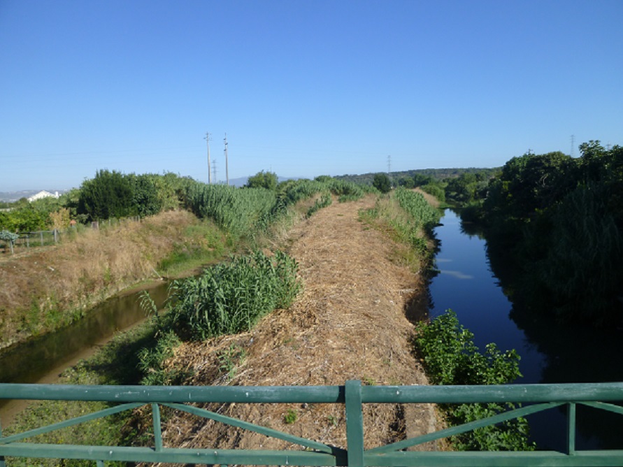 Ponte sobre os Rios Ota e Alenquer