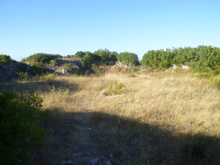 Castro de Vila Nova de São Pedro