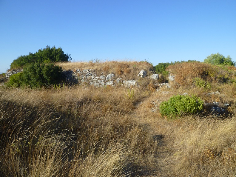 Castro de Vila Nova de São Pedro