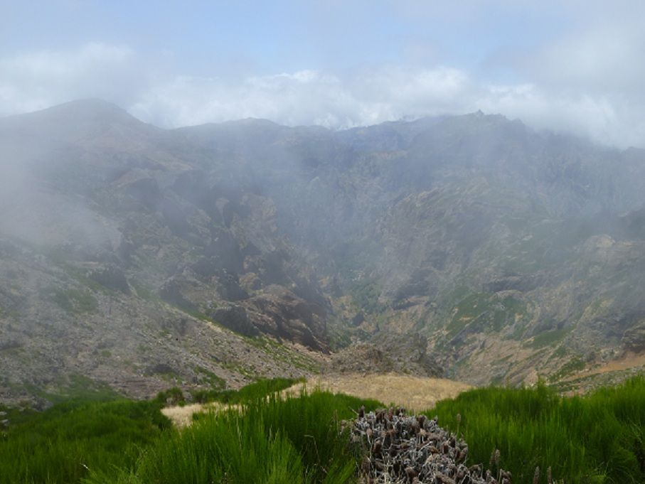 Pico do Arieiro