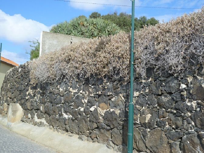 Pano das Muralhas do Forte de São José Pano das Muralhas do Forte de São José