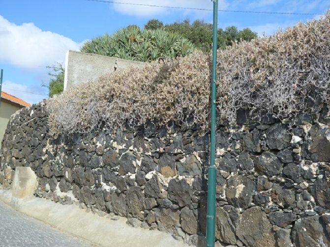 Pano das Muralhas do Forte de São José