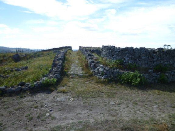 Citânia de Sanfins