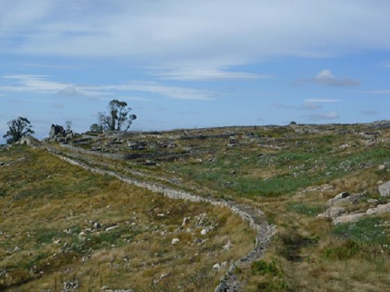 Citânia de Sanfins