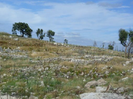 Citânia de Sanfins