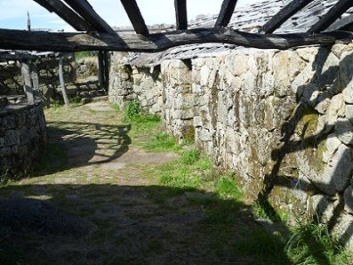 Citânia de Sanfins