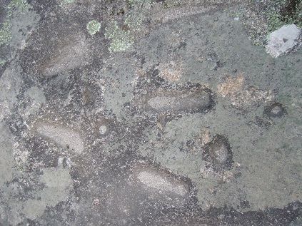 Gravuras Rupestres de Lomar Gravuras Rupestres de Lomar