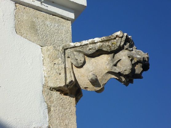 Igreja Matriz - cachorro