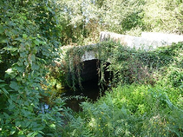 Ponte Romana de Pedreira Ponte Romana de Pedreira