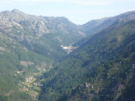 Roussas no Parque Nacional Peneda Gerês