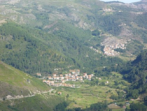 Roussas no Parque Nacional Peneda Gerês