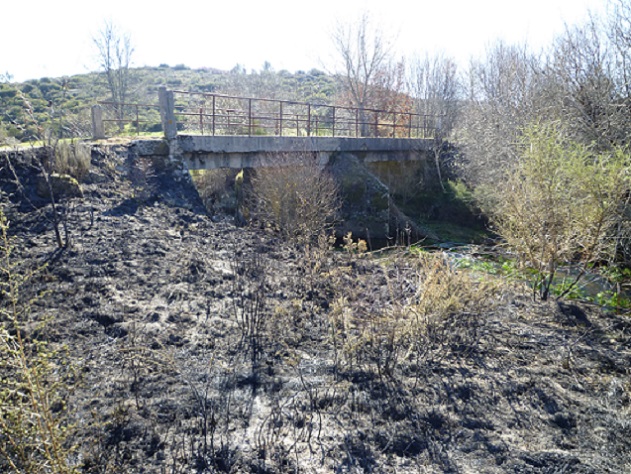 Ponte romana de São Vicente da Chã