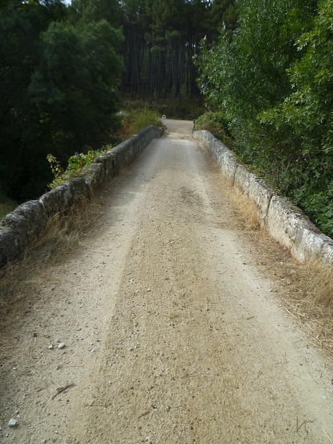 Ponte Romana de Ola