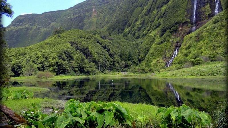 Poço da Ribeira do Ferreiro