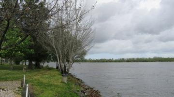 Pateira de Fermentelos