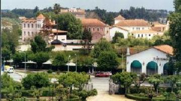 Centro de Curia - Visitar Portugal