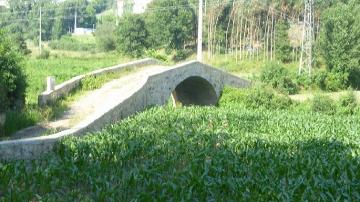 Ponte de Manica e Calçada Medieval