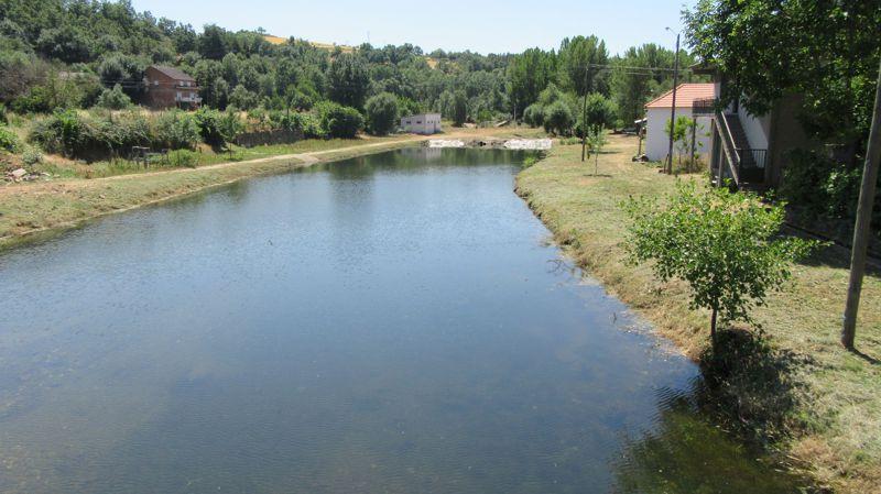 Rio Pepim em Aveleda