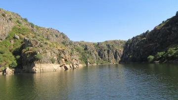 Passeio de Barco pelo Douro - Visitar Portugal