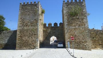 Fortaleza e Muralha Pré-Românica