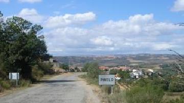Vista de Pinelo