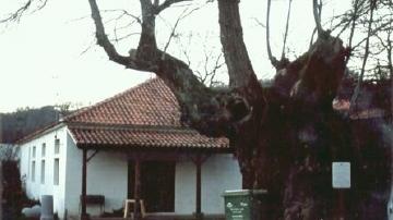 Casa do Povo Casa do Povo