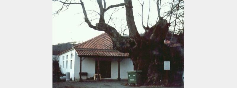 Casa do Povo