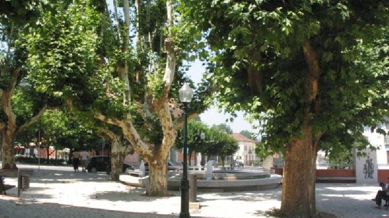 Jardim no centro de Arganil