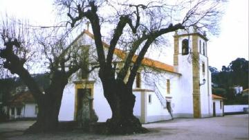 Igreja de São Martinho da Cortiça - Visitar Portugal