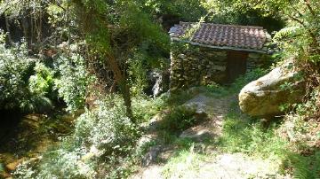 Ribeira da Pena - 