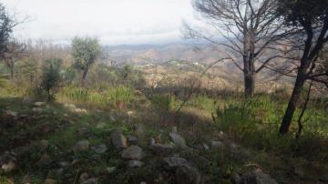 Ruinas do Castelo do Alferce