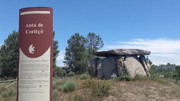 Anta de Cortiçô - Visitar Portugal