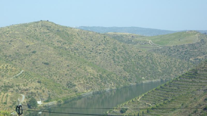 Rio Douro visto do Castelo