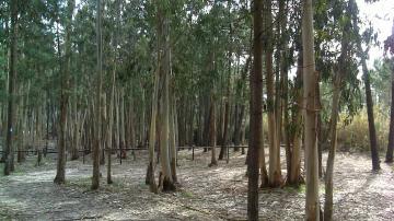 Parque de Merendas - Visitar Portugal