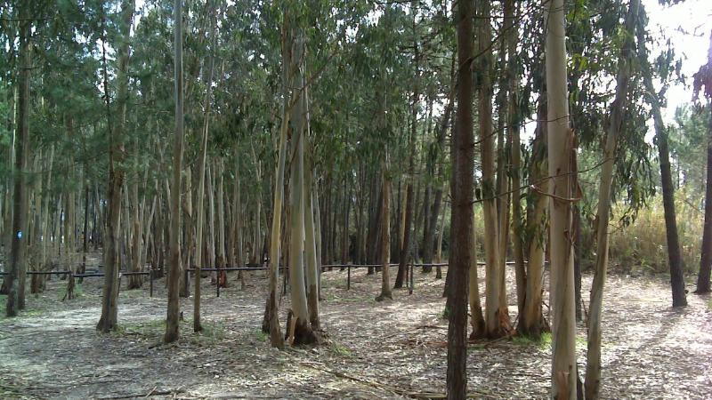 Parque de Merendas