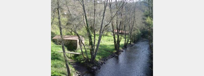 Ribeira de Alge