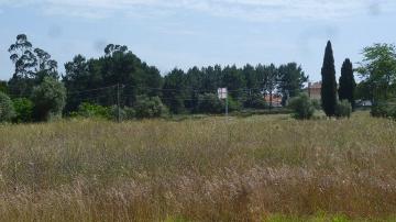 Campo Militar de São Jorge, Nucleo nº 2