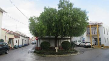 Largo Rosa do Miguel - 