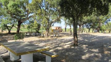 Parque de Merendas - Visitar Portugal