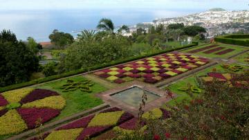 Jardim das Plantas Indígenas da Madeira - Visitar Portugal