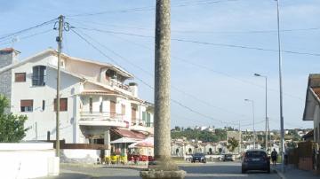 Cruzeiro de Vilela - Visitar Portugal