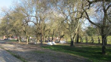 Parque de Merendas - Visitar Portugal