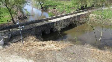 Ponte Romana de Muge