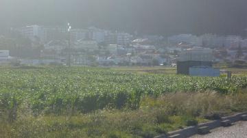 Vista Geral da Areosa