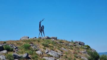 Cervo de José Rodrigues - Visitar Portugal