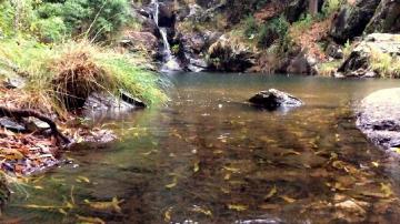 Quedas de Água de Paredes - Visitar Portugal